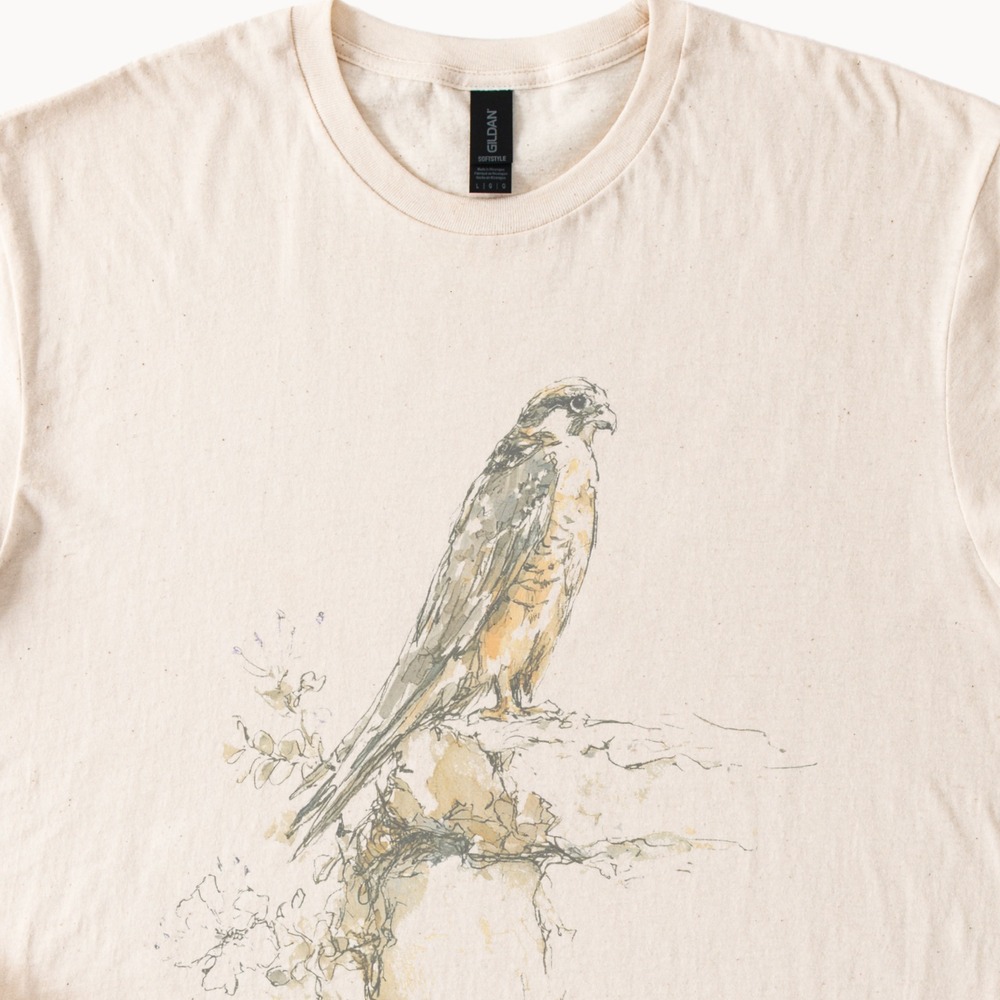 Elegant Eleonora's Falcon Graphic Tee Vintage Style Nature Design